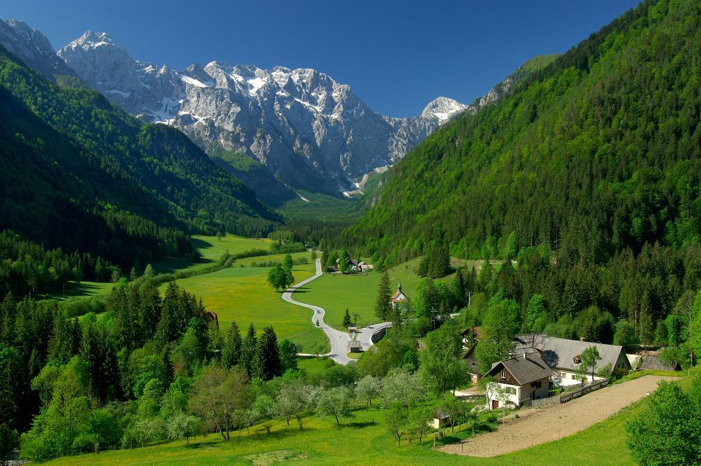 Farmhouse Stiftar Solčava المظهر الخارجي الصورة