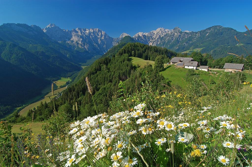 Farmhouse Stiftar Solčava المظهر الخارجي الصورة